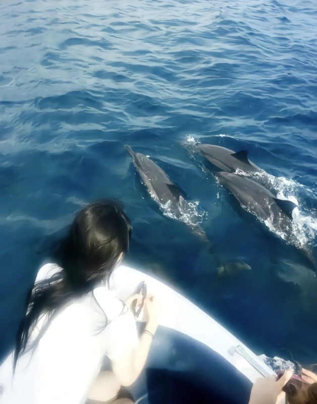 刘亦菲图片-6号博客网